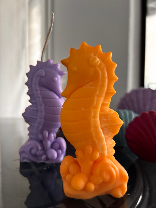 Ιππόκαμπος