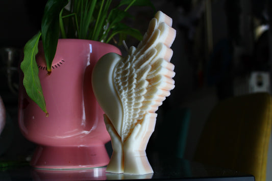 Καρδιά με φτερό